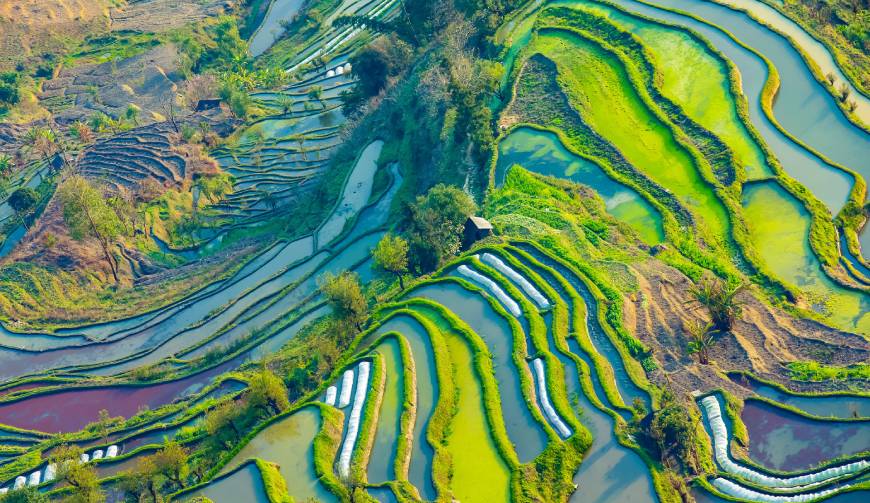 走进巴南区TVC拍摄：解锁本地化场景与创意镜头的完美融合
